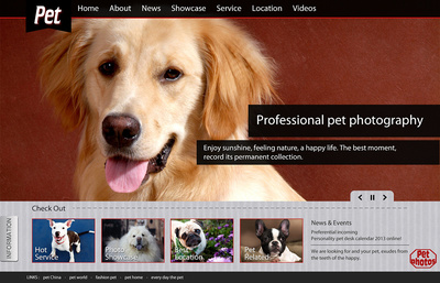 宠物摄影网页设计